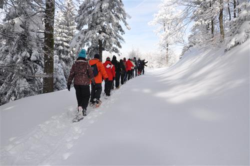 Circuit Les Petits Lynx