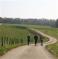 Tour de Burgille