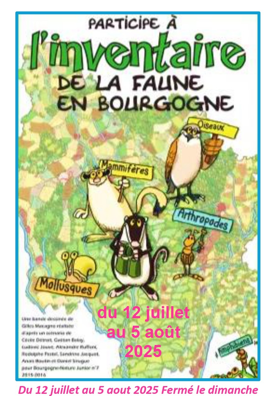 le visuel pour site