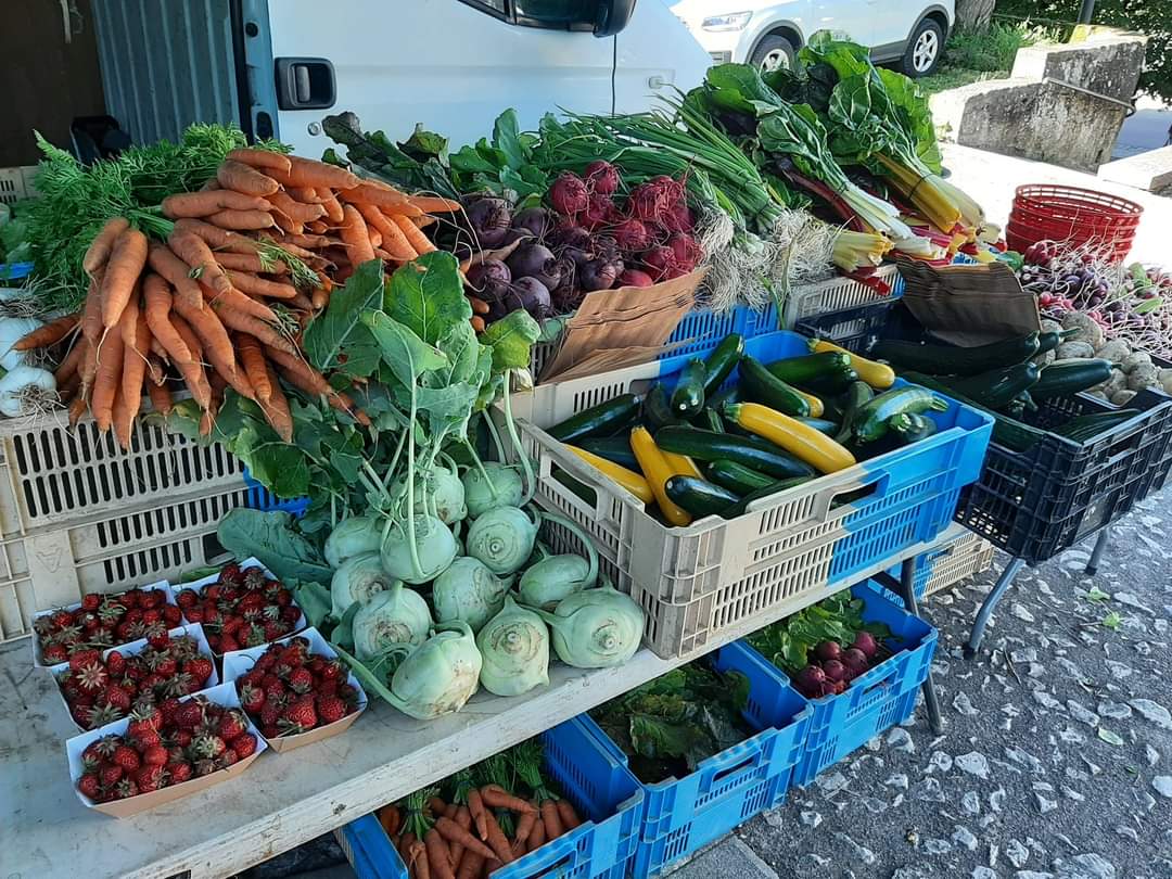 Légumes des Jardins du Basilic