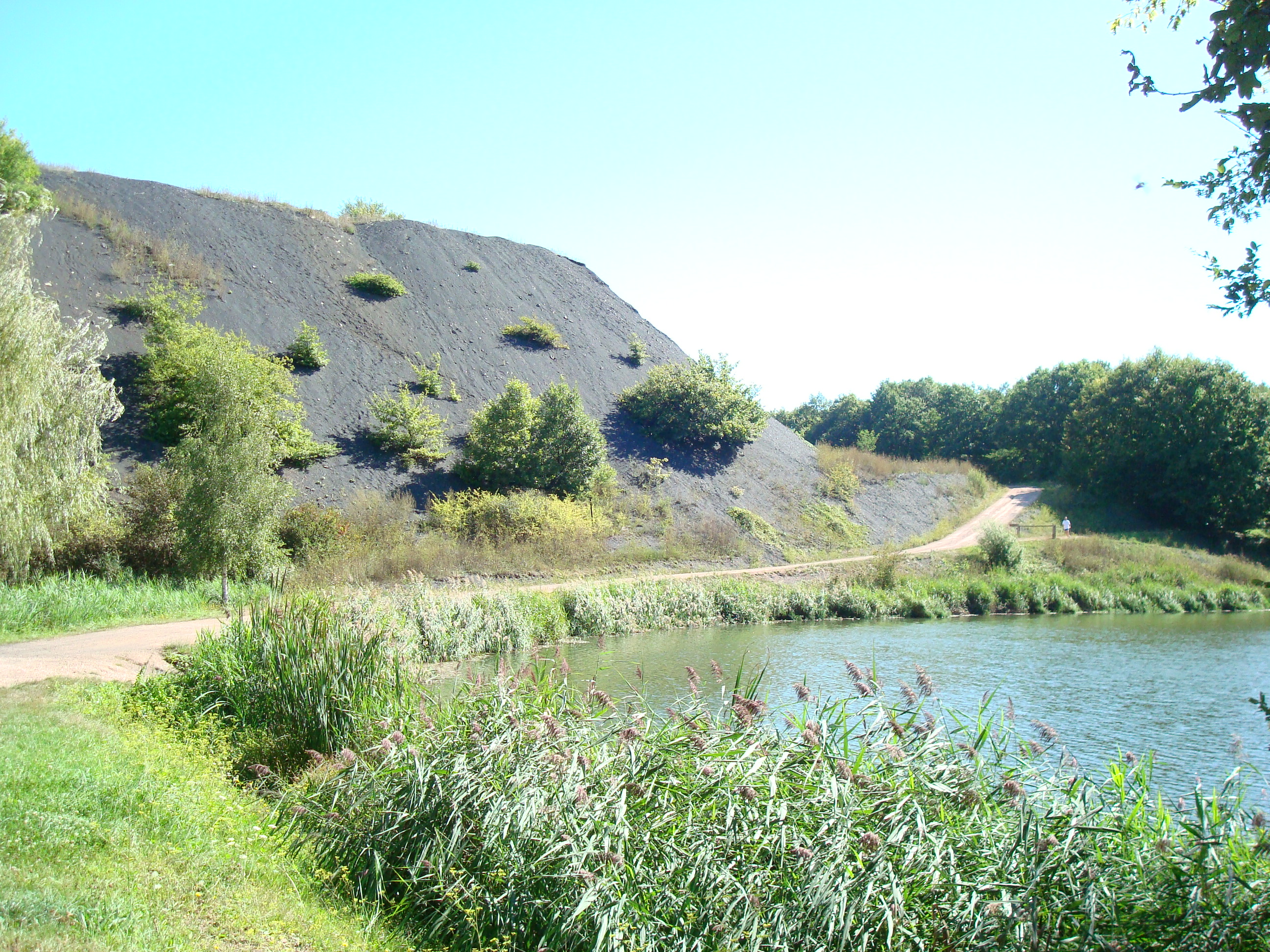 Base de loisirs de l'Etang Grenetier - photo 5
