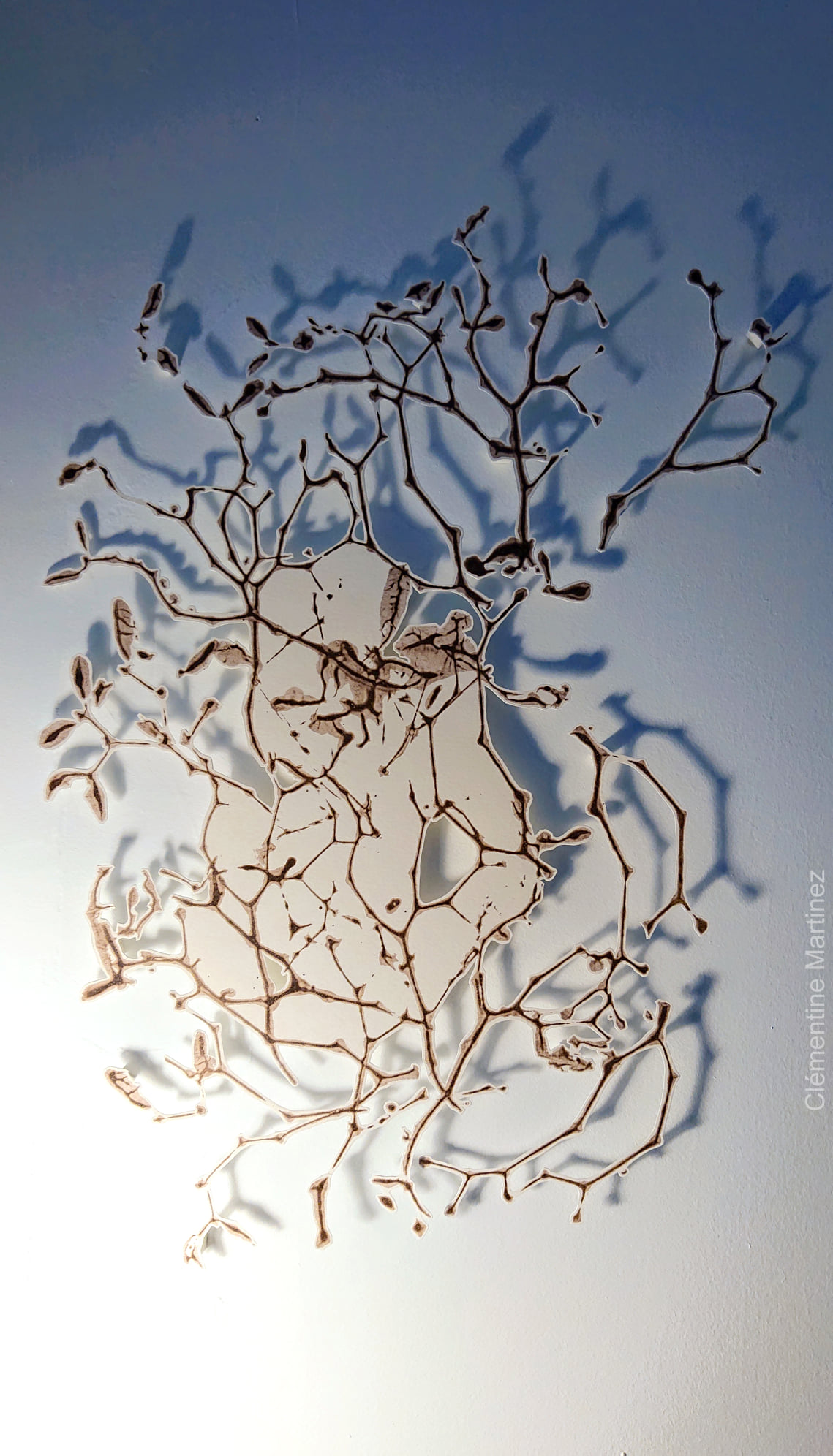 lichens