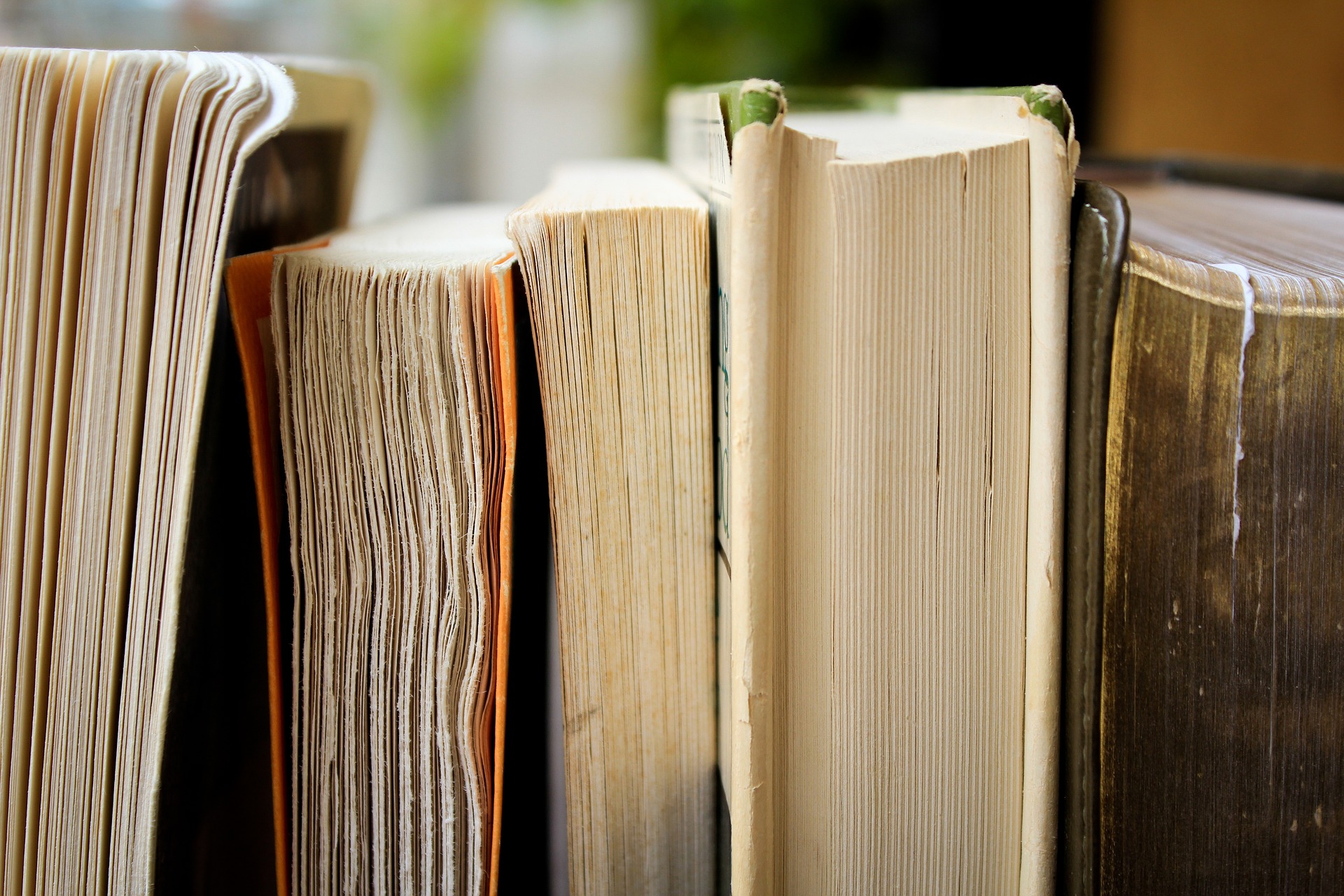 Centre Culturel Simone Veil : Club Lecture