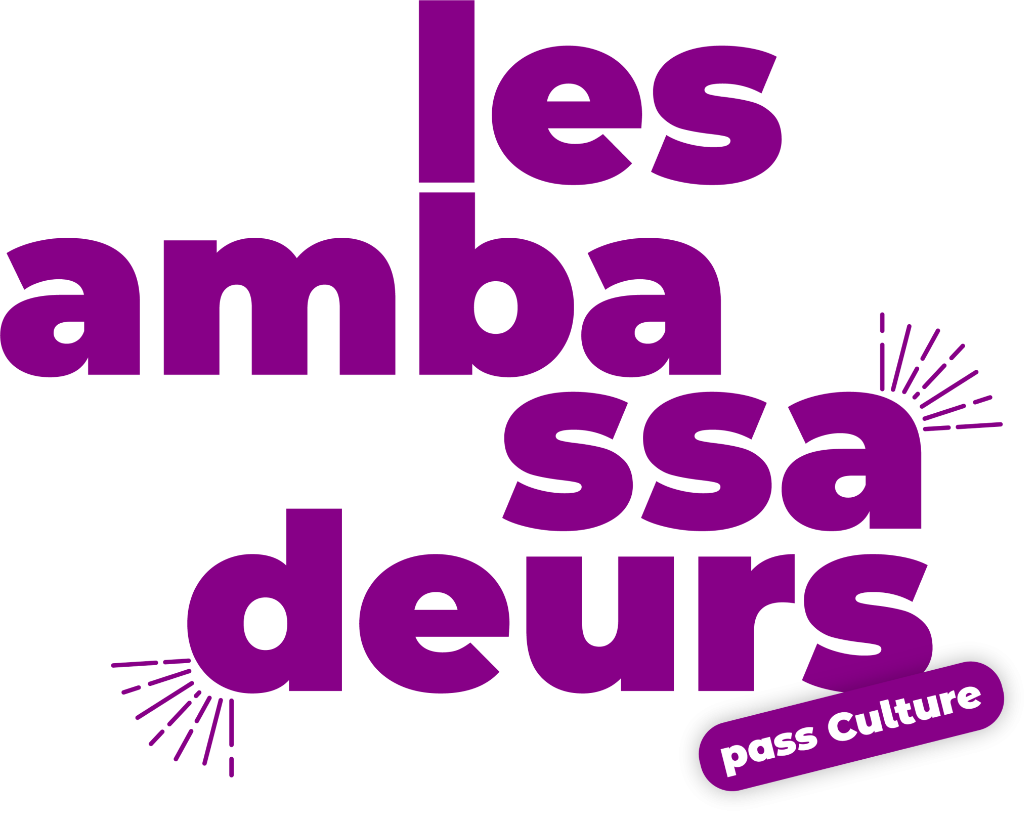Les ambassadeurs du pass Culture s'infiltrent dans le MuséoParc Alésia