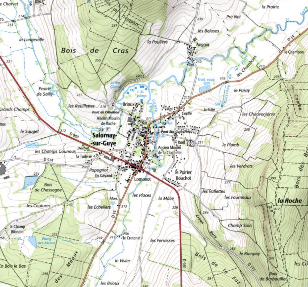 Carte IGN Salornay-sur-Guye