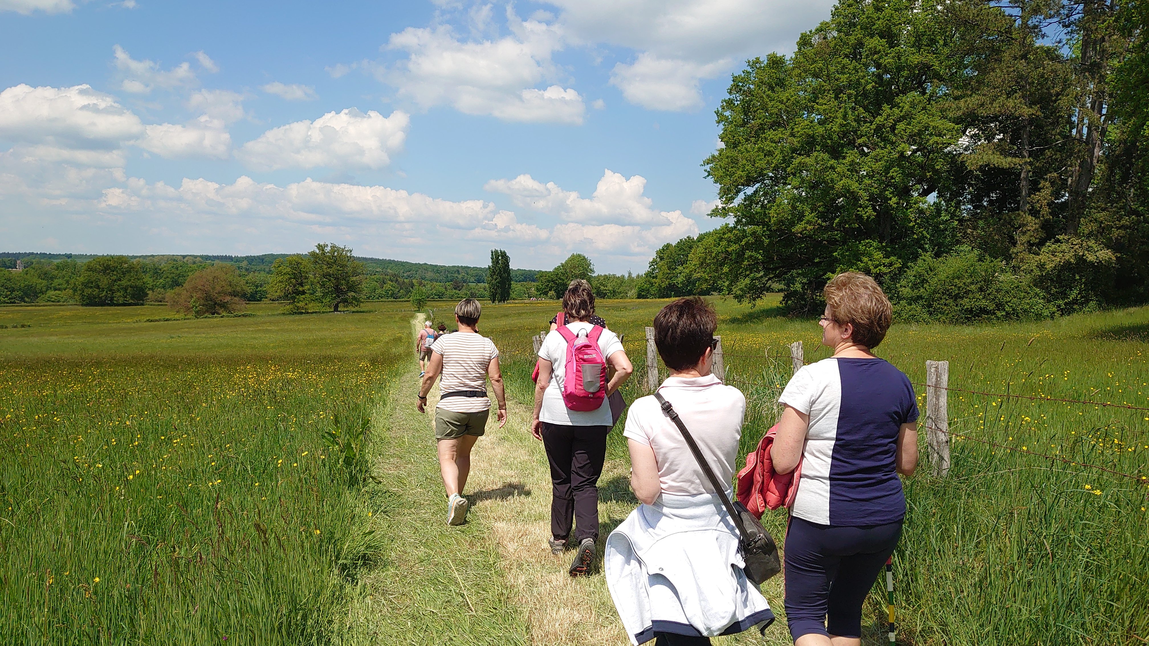 Marche Gourmande des Terroirs Gueugnonnais