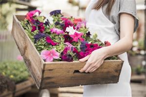 Marché aux fleurs à Fretigney 
