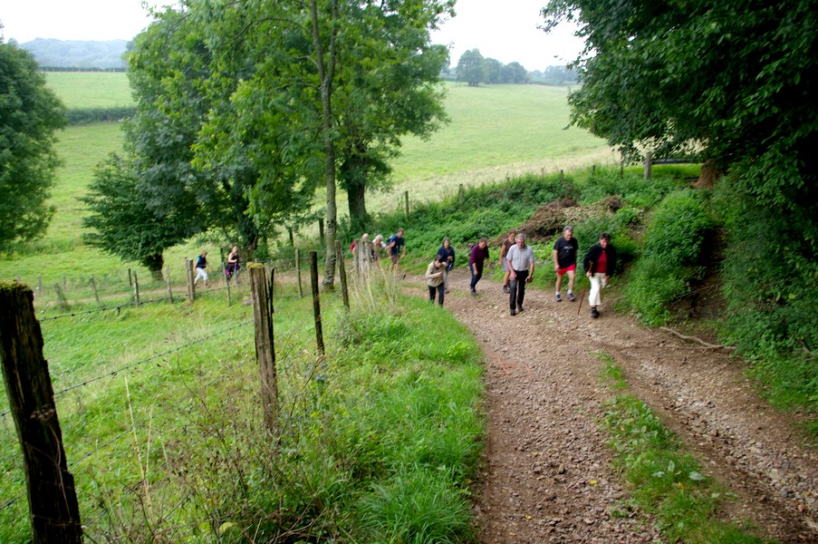 bocage brionnais