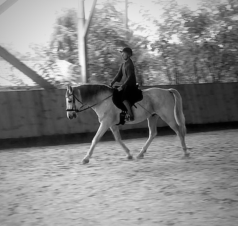 Posture à cheval