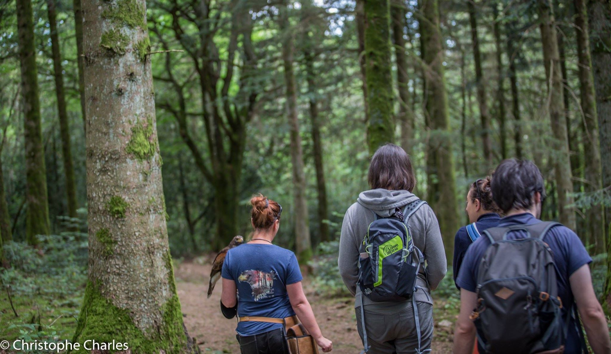 L'Echappée Morvan d'Ailes - Randonnée contact