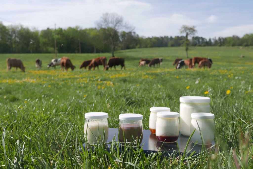 Mercredi découverte : Ferme de la Charme