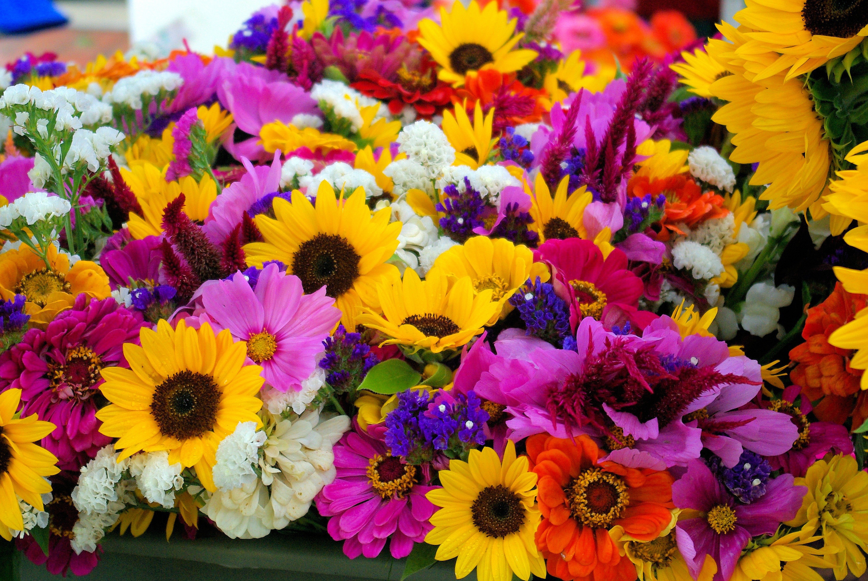 Marché aux fleurs et vide grenier