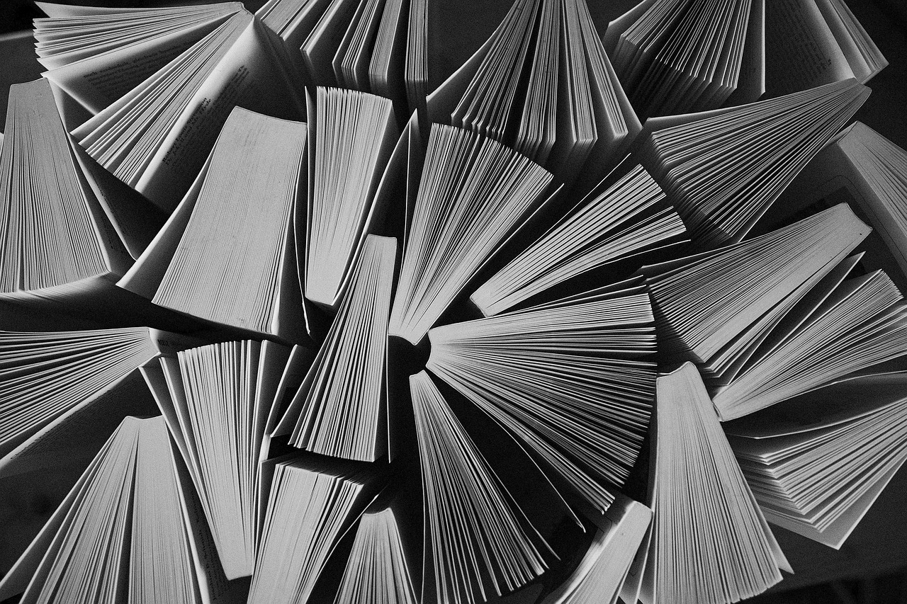 Médiathèque Le Dôme : Rendez-vous dans les livres