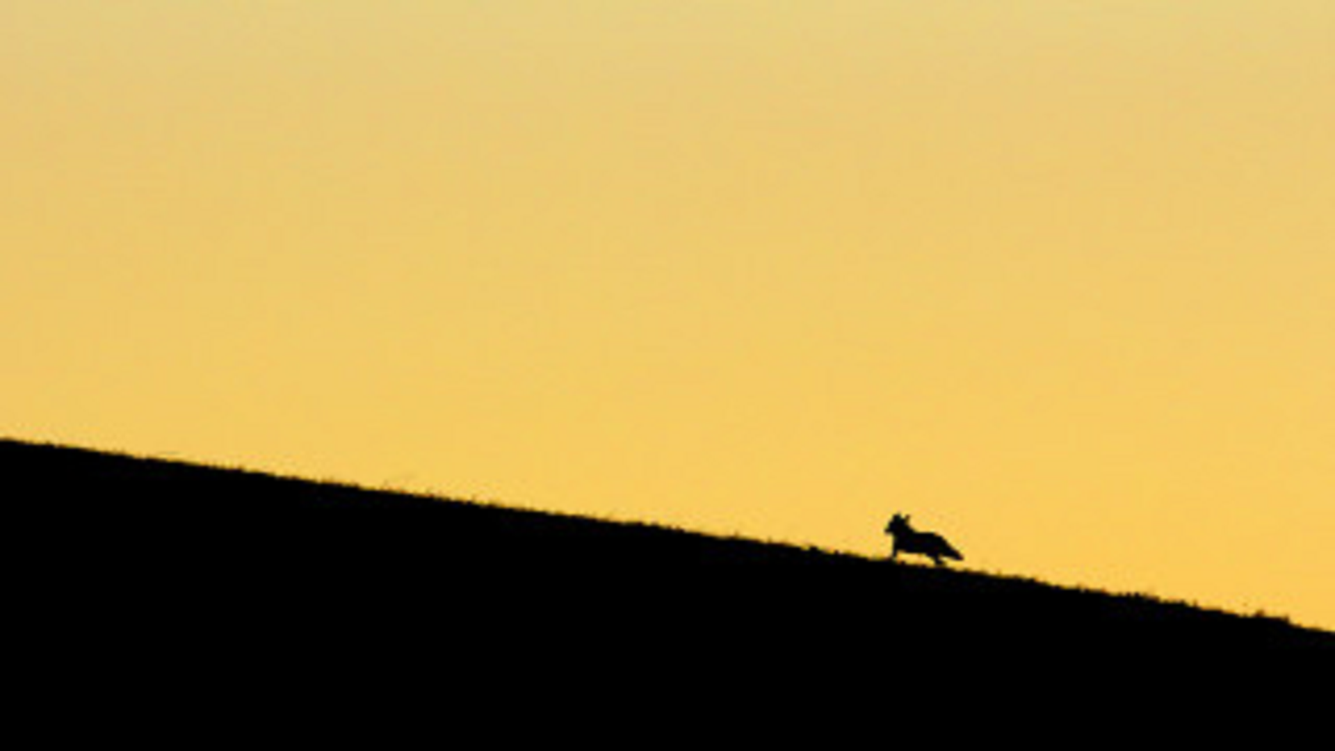 Soirée photo "paysages crépusculaires et nocturnes"