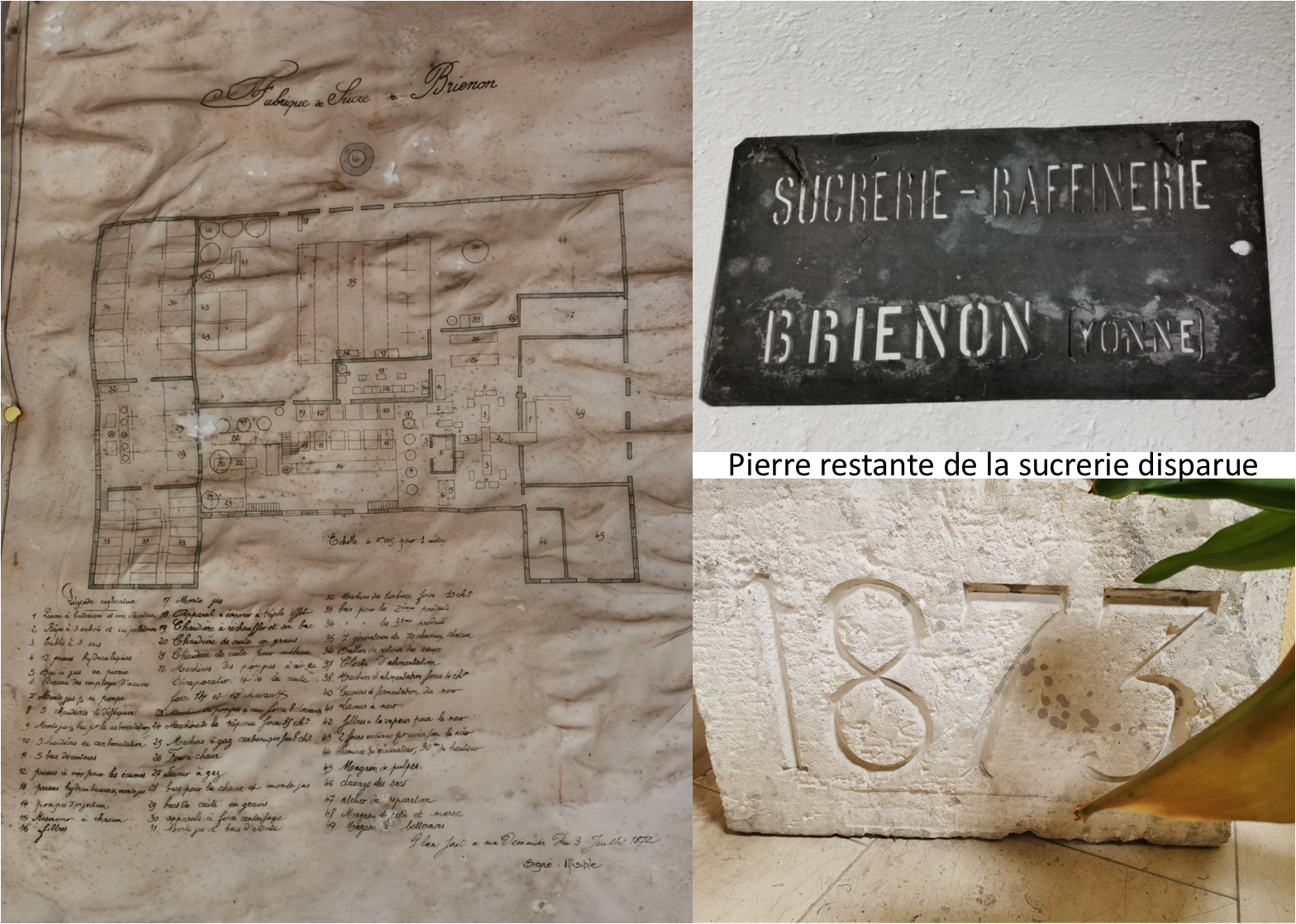 Brienon, terre de sucre