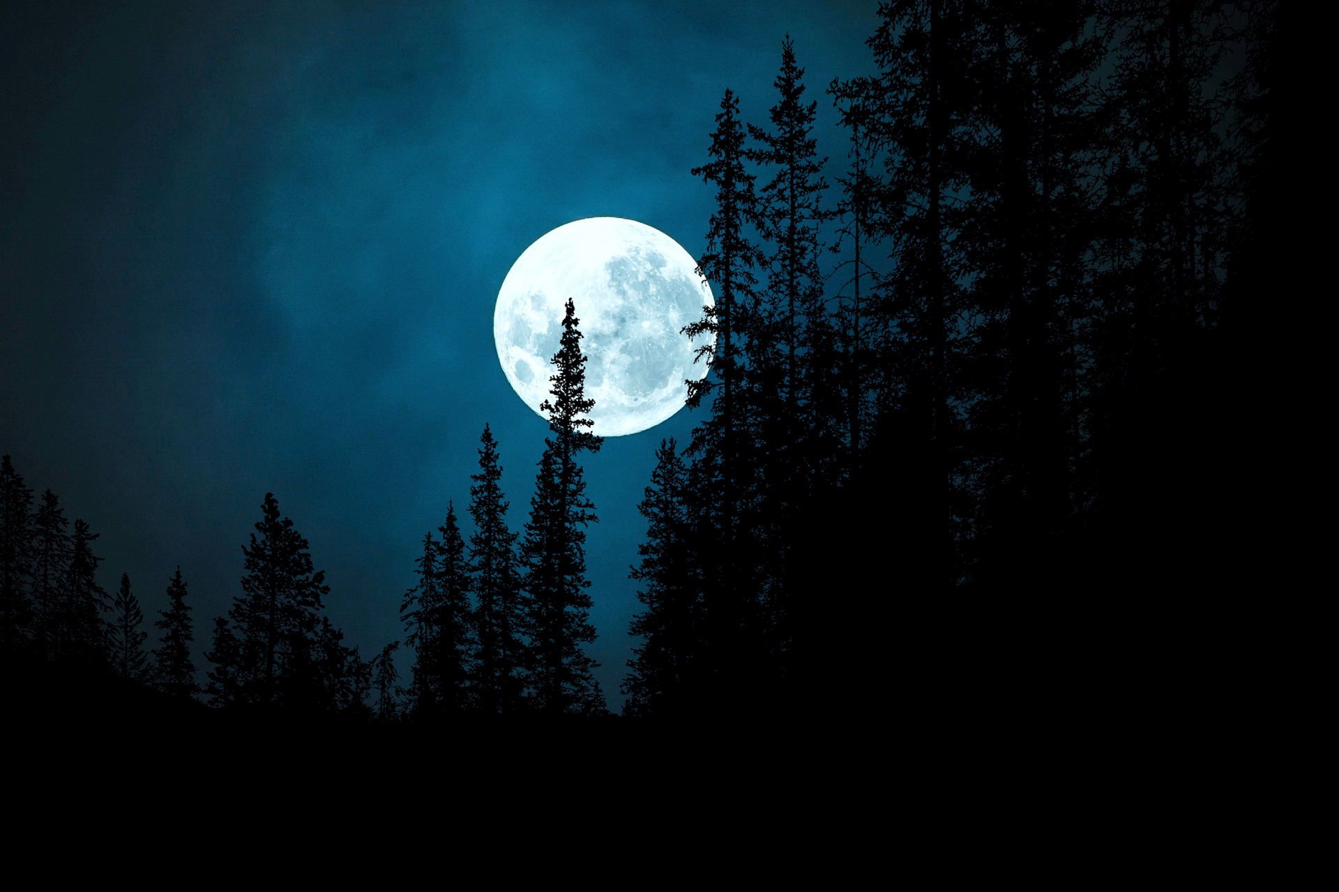 Promenade nocturne