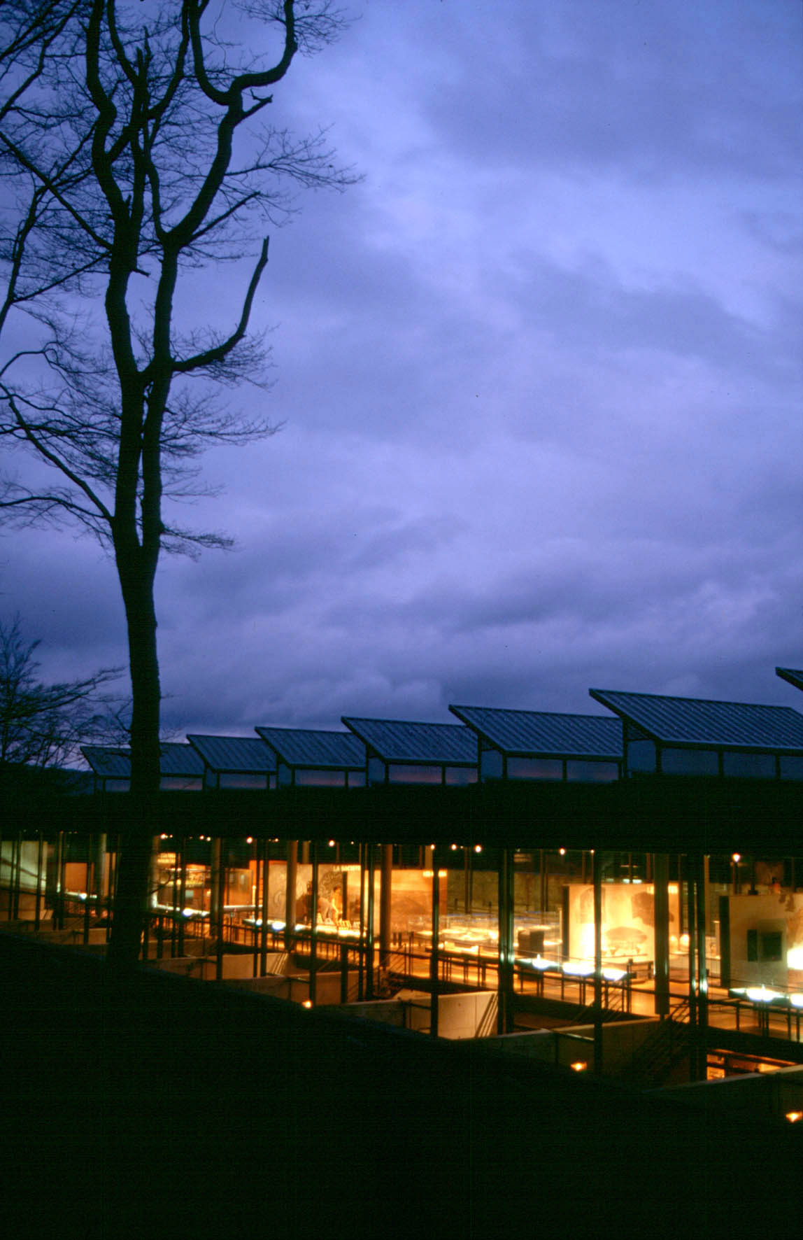 musée by night