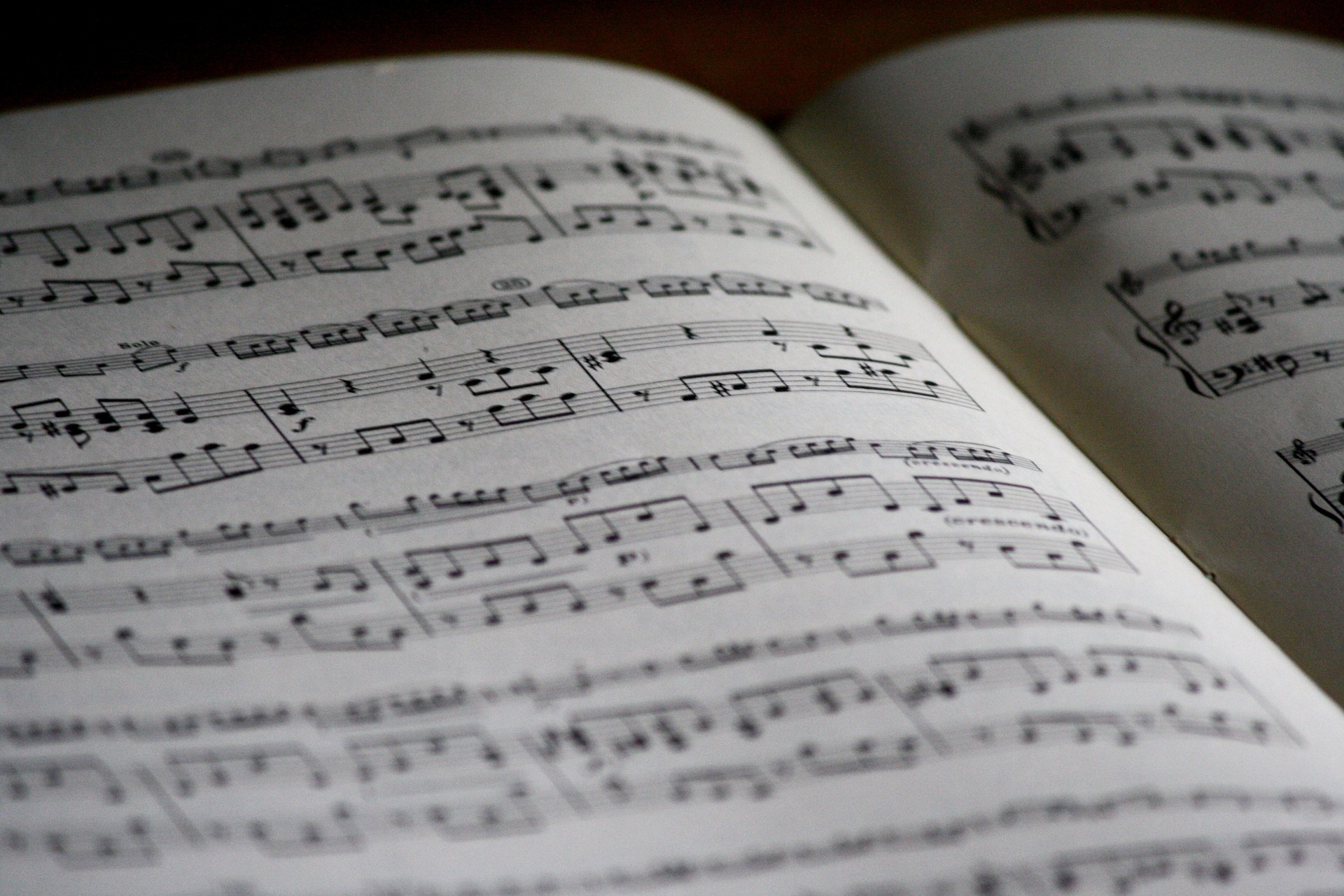 Audition chant