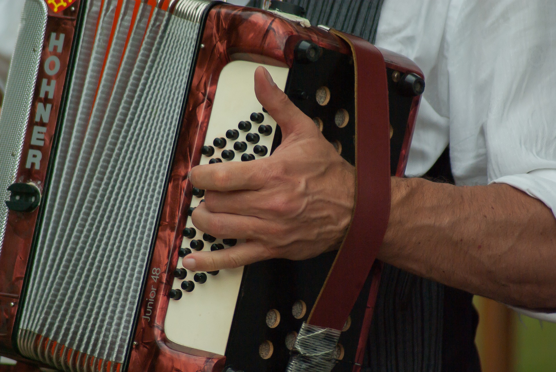 musician-g184bd754d_1920