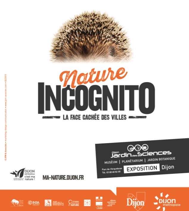 nature-incognito