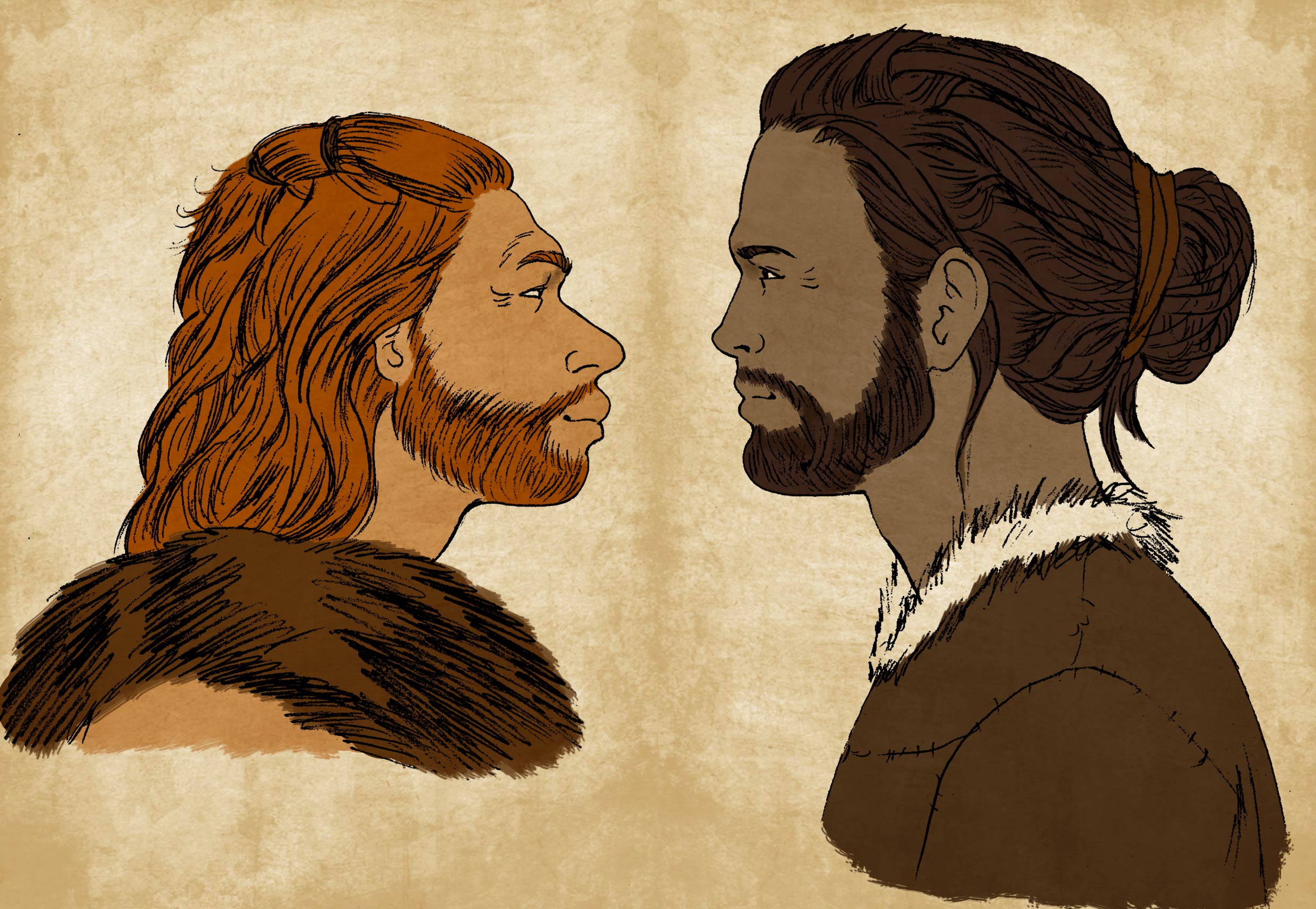 neandertal face à sapiens-visite atelier 