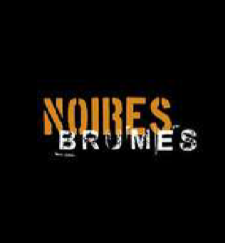Présentation du salon du polar “noires brumes”
