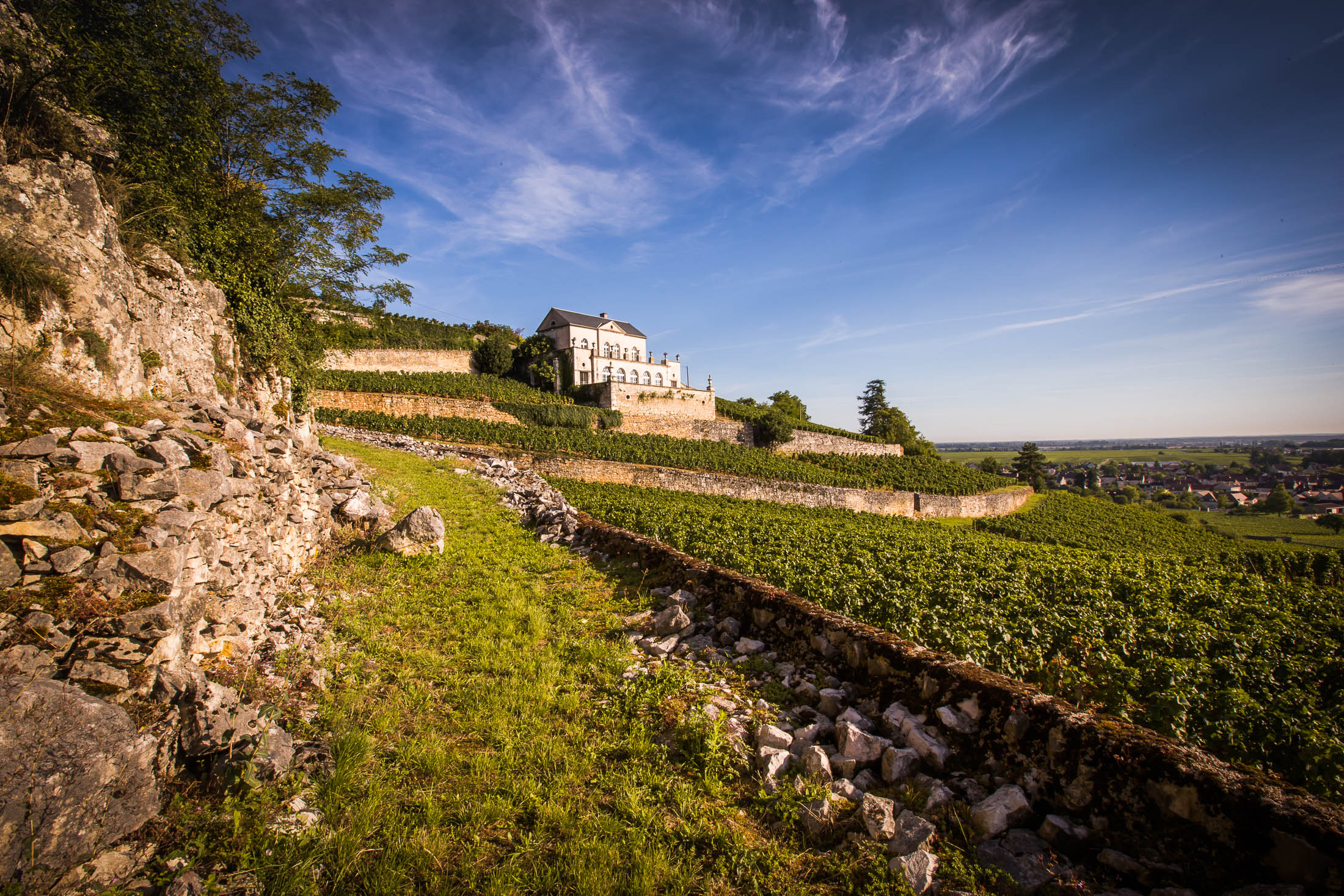 nuits-saint-georges-63