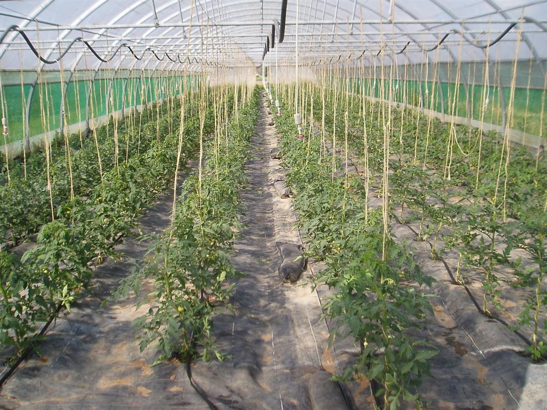 La Ferme du Chemin d'Acey