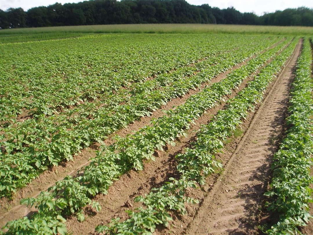 La Ferme du Chemin d'Acey