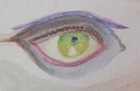 oeil