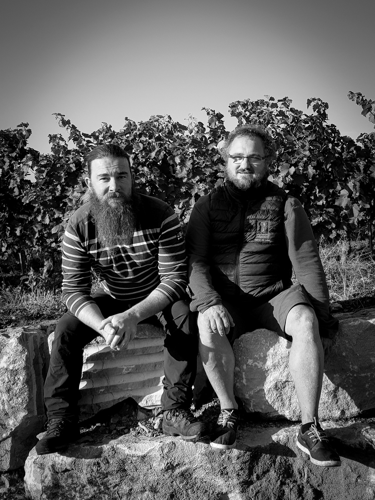 Portes ouvertes au Domaine la Renarde