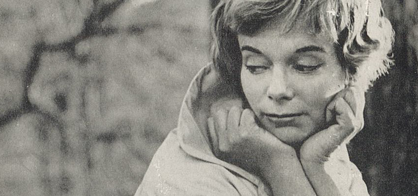Visite Nocturne à Sens : Aux Grandes Dames de Sens