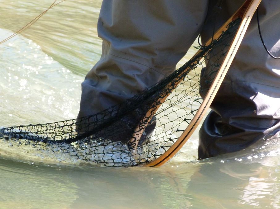 Initiation à la pêche dans le Cusancin (Public adolescent) 