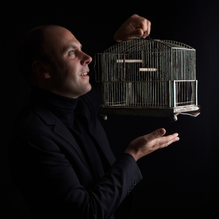 perches-3