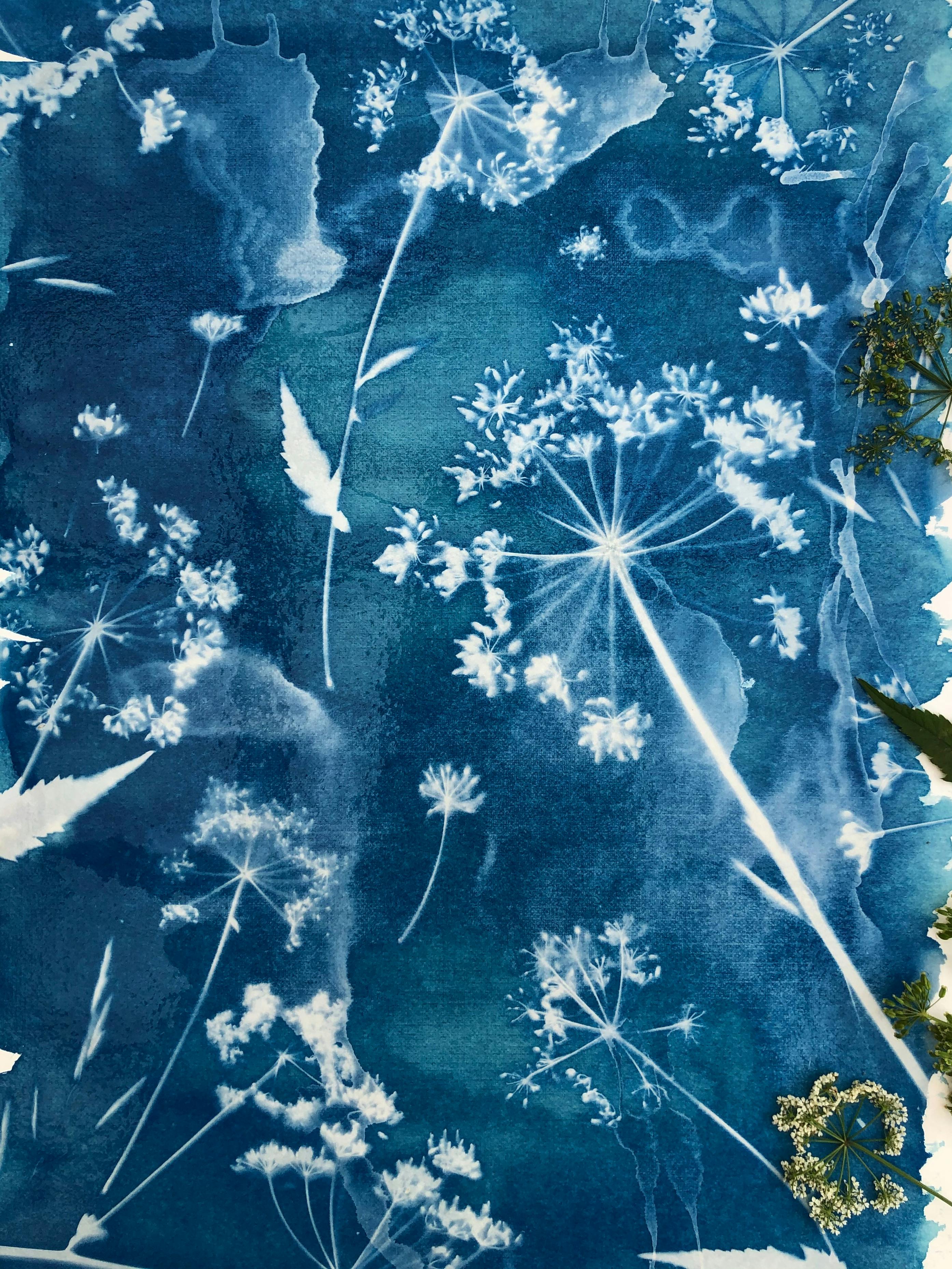 Cyanotype