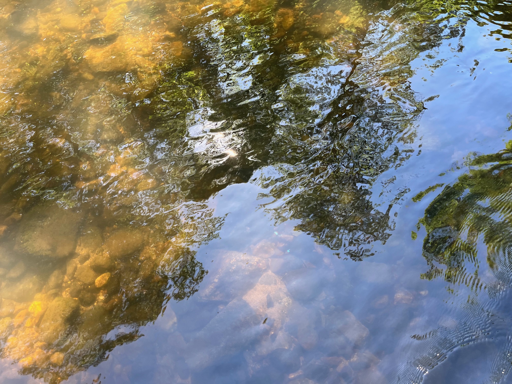 photo Bertrand seule