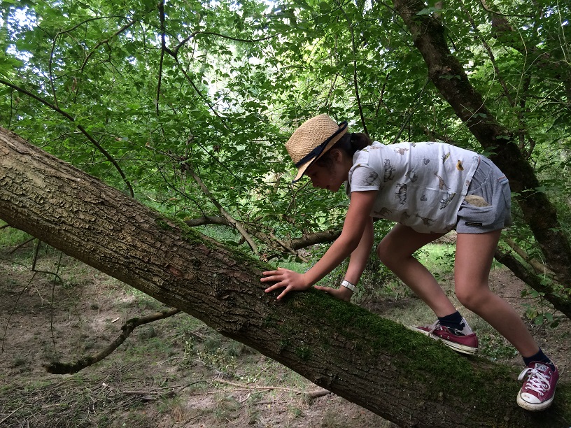 Journée nature enfants - Crédits : Serv Educ Envir - CC Coeur de Loire
