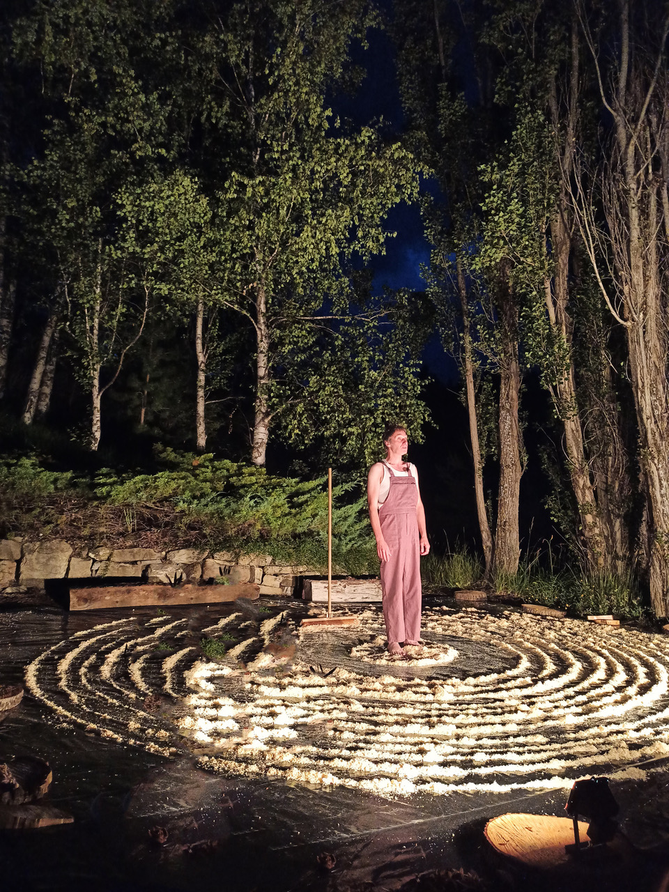 photo utopie des arbres