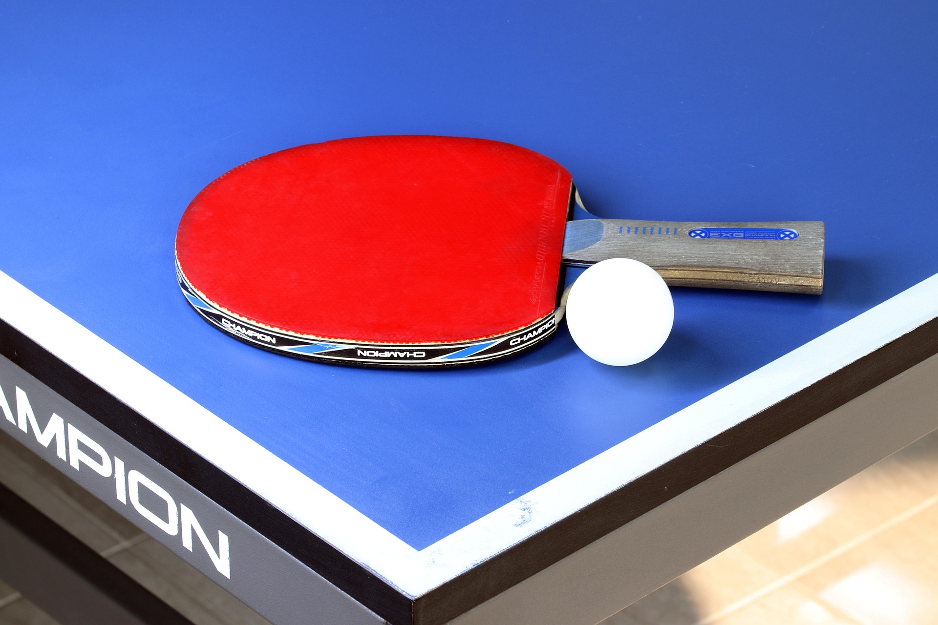 Animation ados - Ping pong