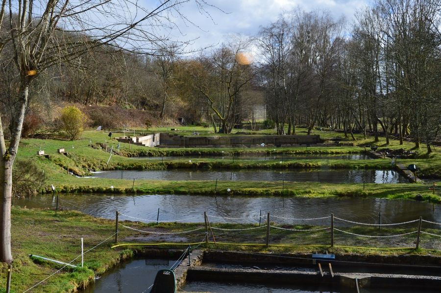 EURL Le Moulin