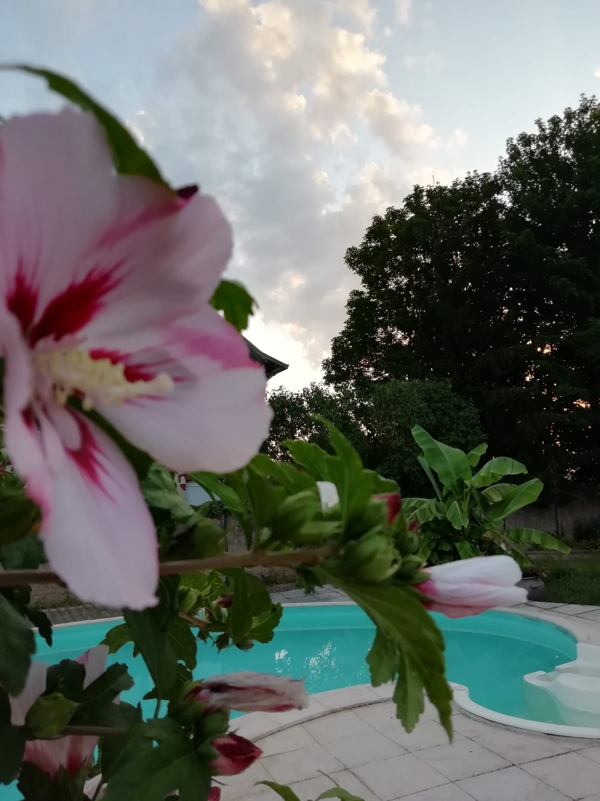 Maison d'hôtes Le Puits Darcy