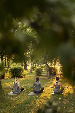Séances de Yoga aux jardins Acorus