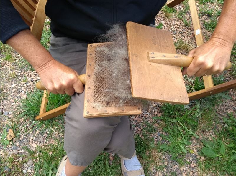 Visite collective ferme lainière au sommet du Morvan en néerlandais, Glux-en-Glenne