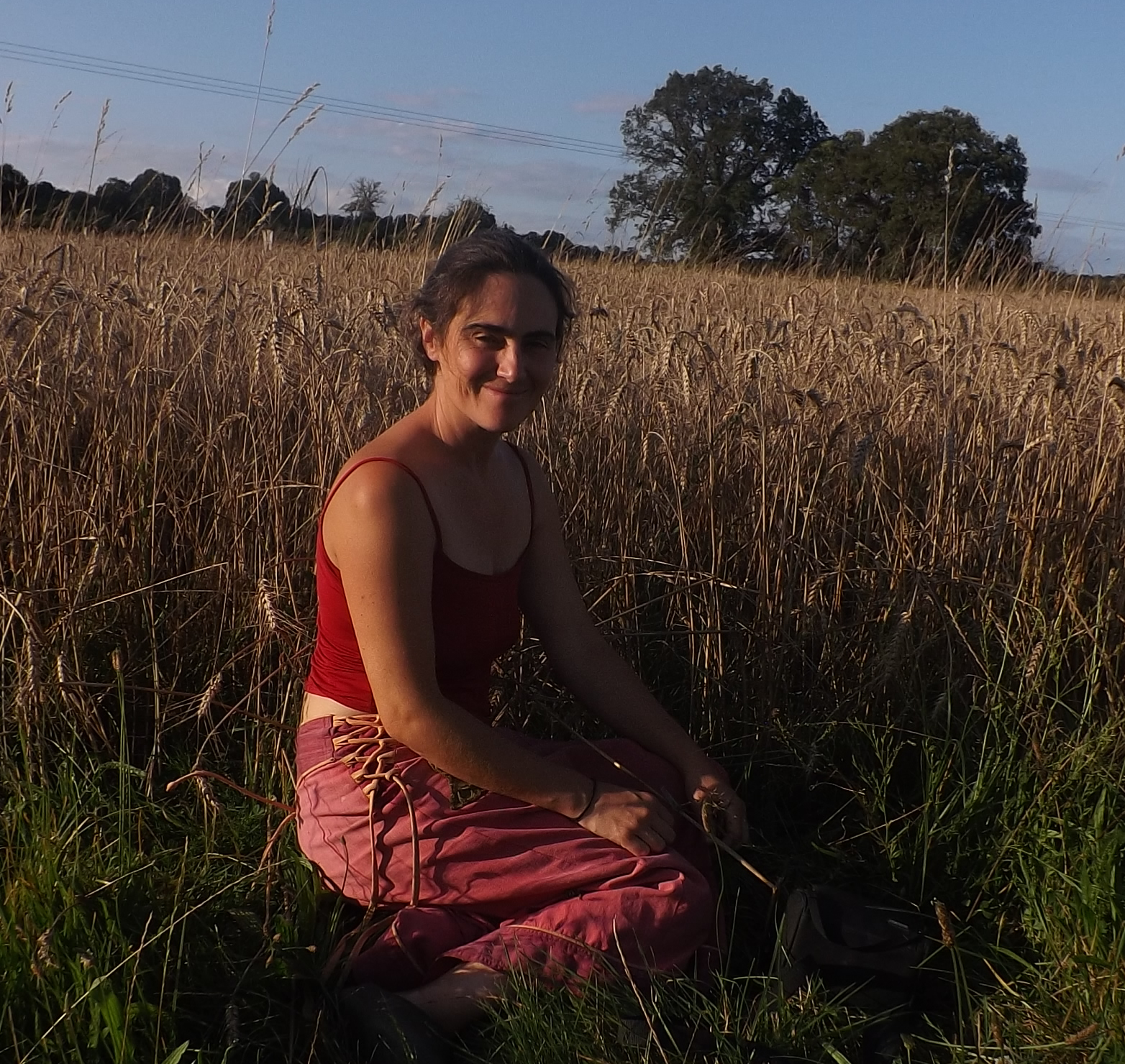 Du grain au pain, du champ au fournil !