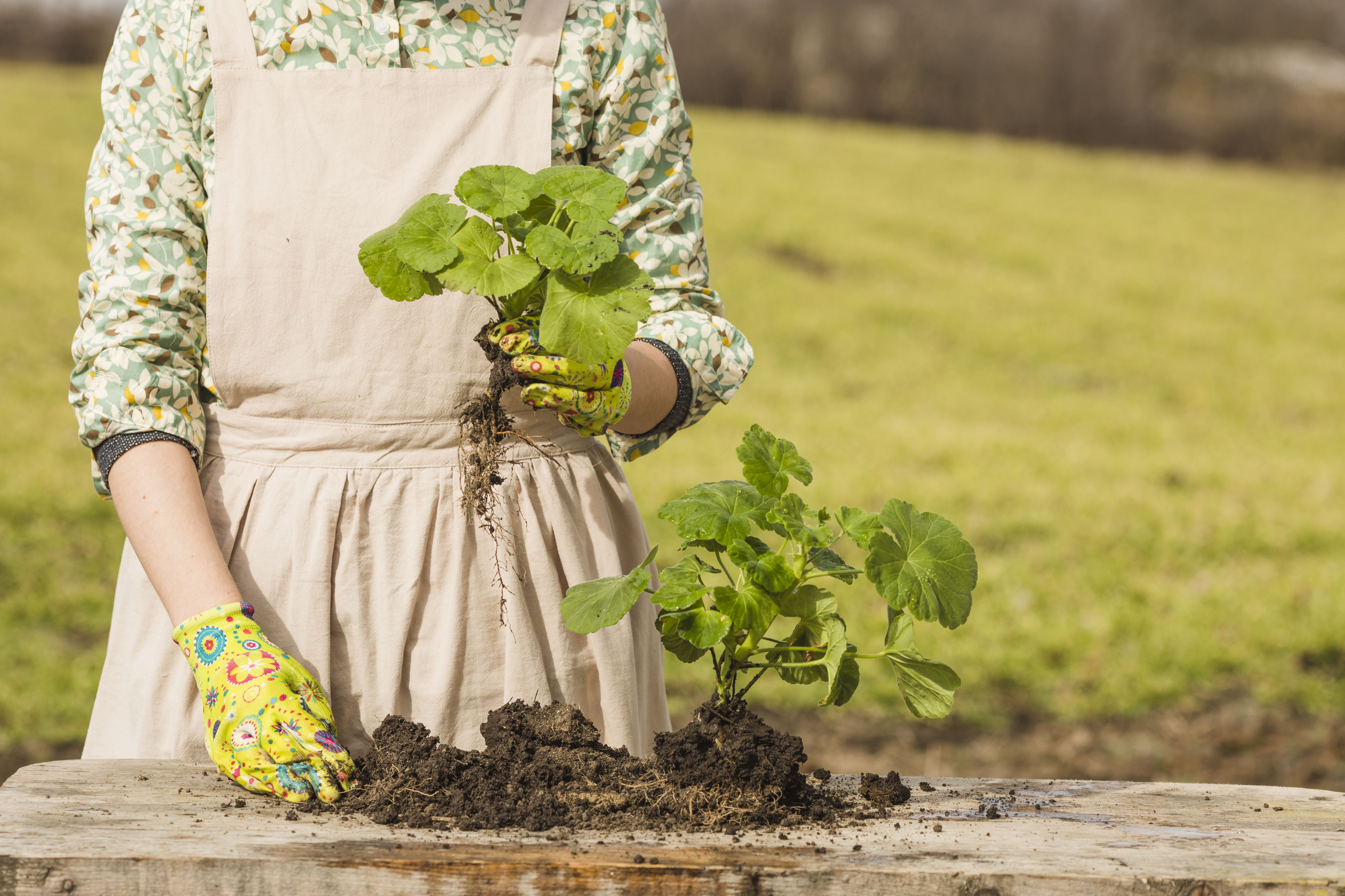 Portrait woman gardening