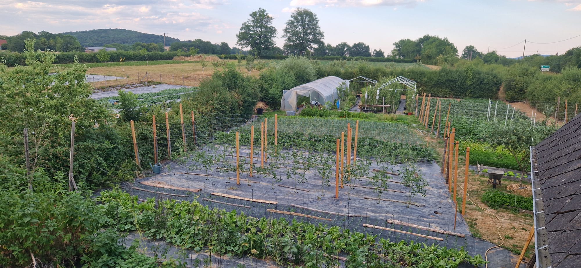 Visite du potager