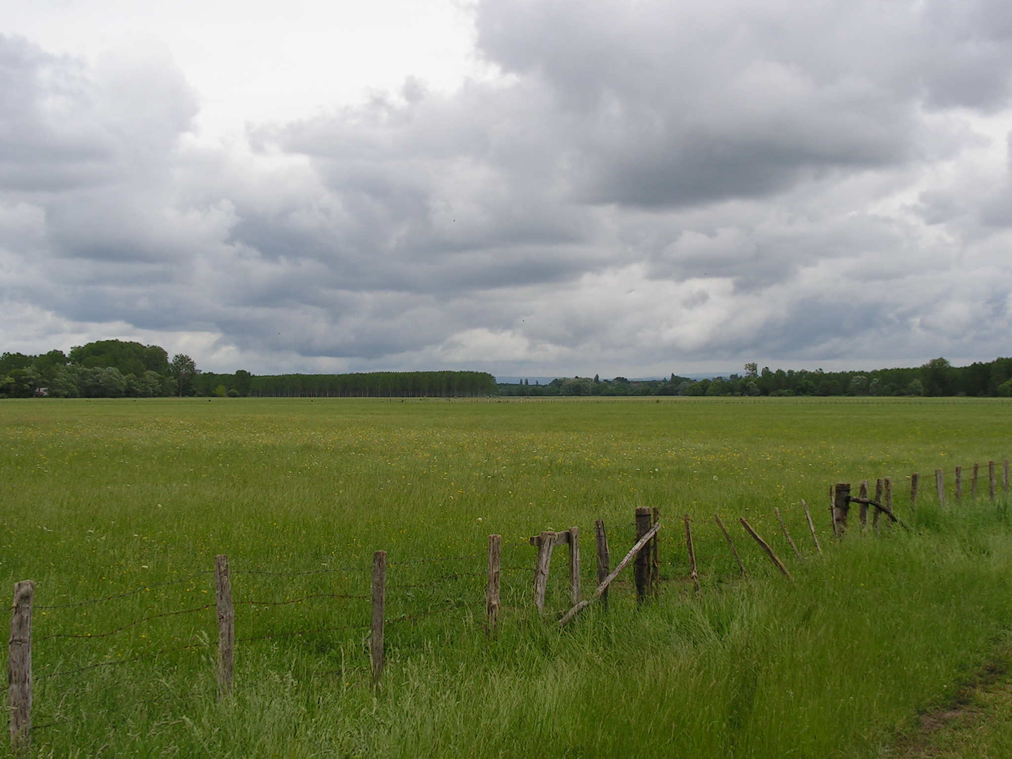 Prairie du Val de Saône - Crédits : EPTB Saône et Doubs