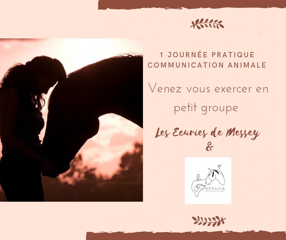 Pratique de communication animale