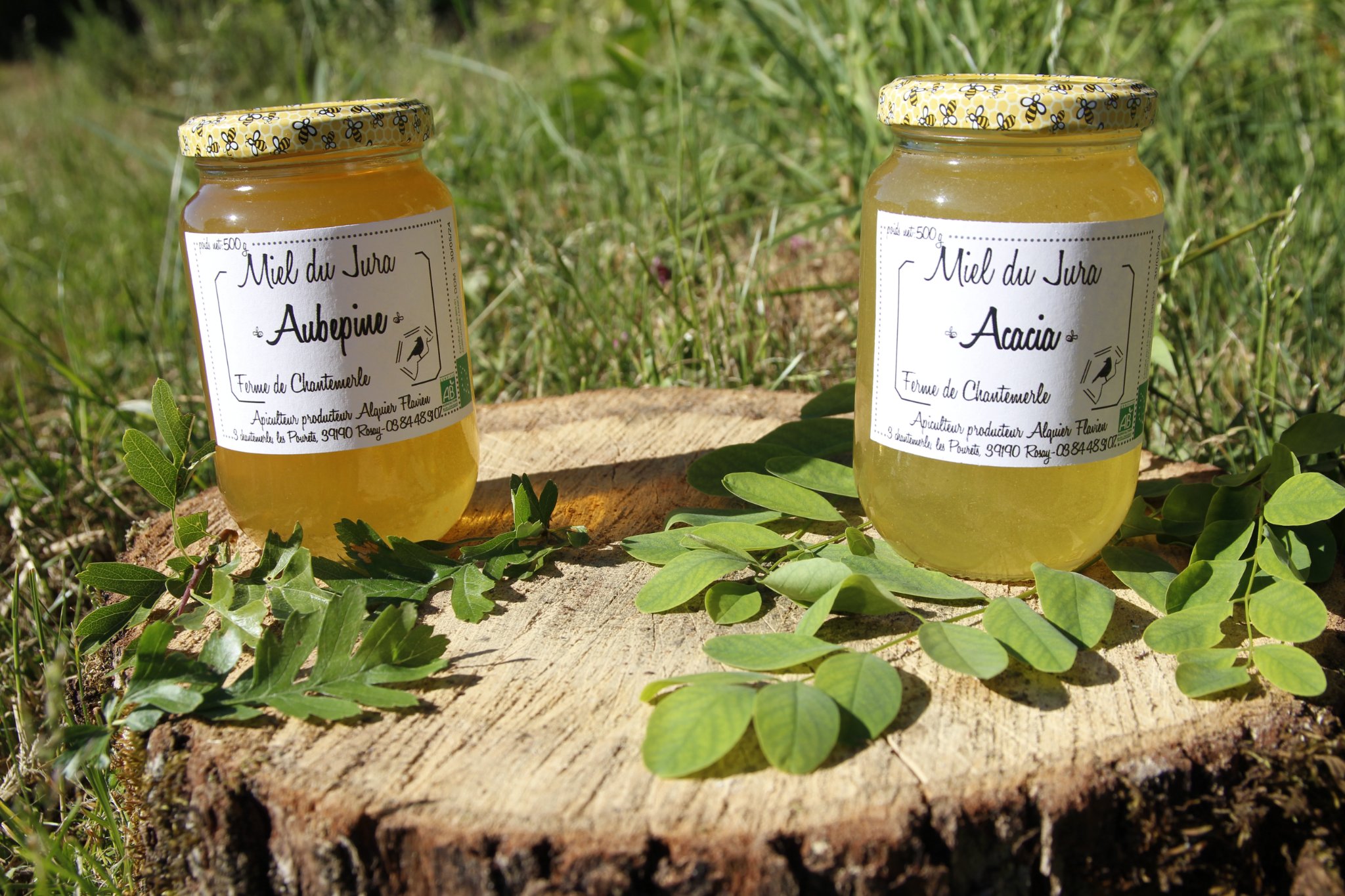 Ferme de Chantemerle 