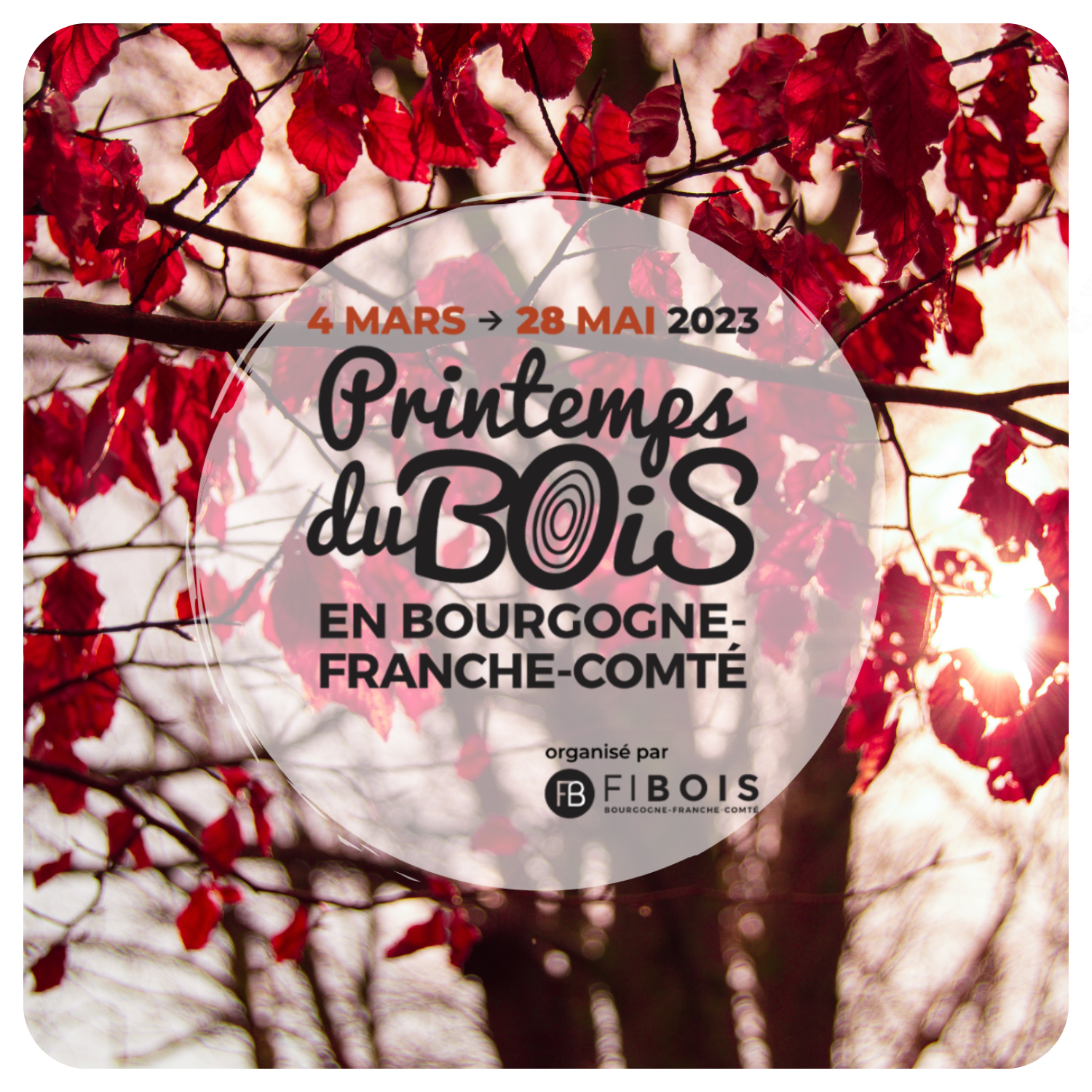 AGENDA - Photos calibrées - 10